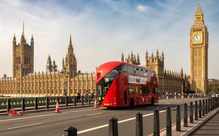 UK vs Germany: Real Student Cost Comparison for International Students