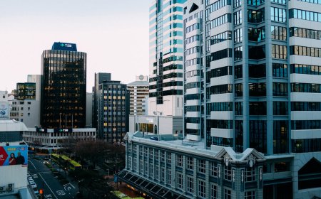 New Zealand to Launch New Six‑Month Graduate Work Visa